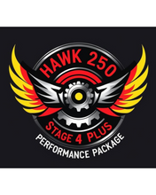 Load image into Gallery viewer, Hawk 250 RPS Stage 4 Plus Performance Package
